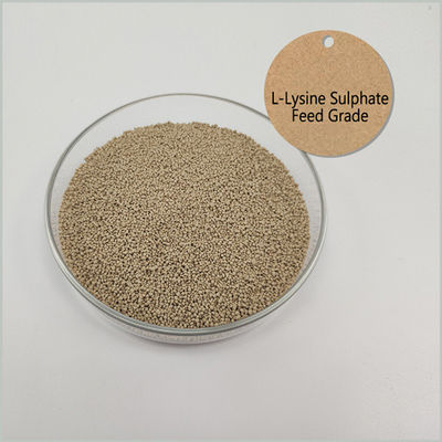 Grado 0.61g/Cm3 L sulfato de la lisina, CAS de la alimentación 657-27-2 aminoácidos puros